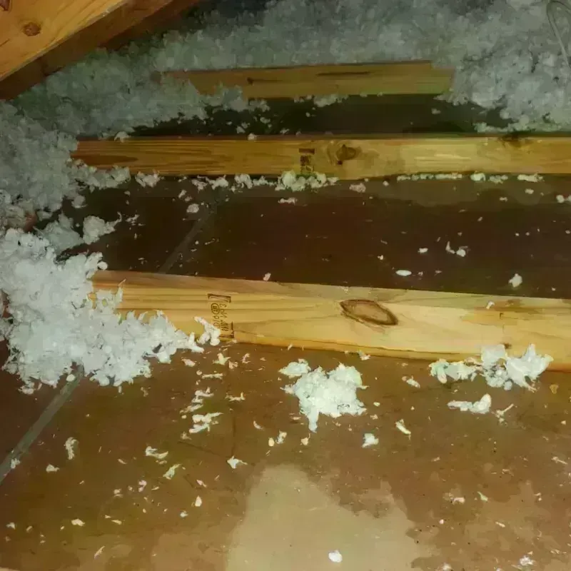 Attic Water Damage in Balch Springs, TX